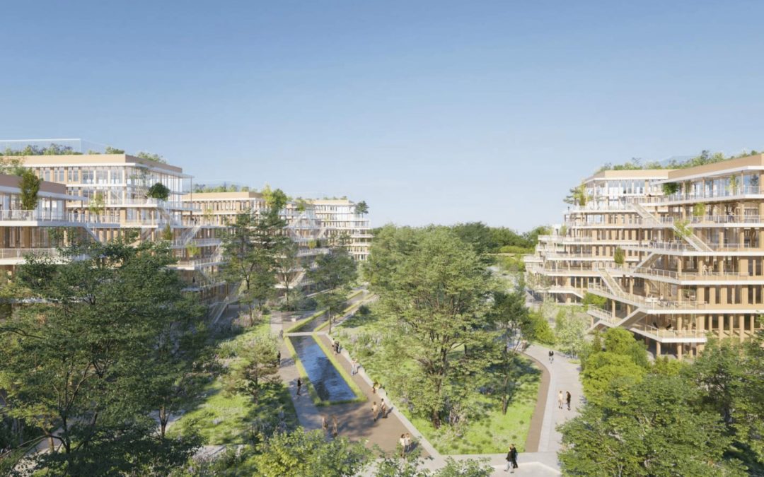 Bureaux 2.0 : Quand les Entreprises Se Mettent au Vert pour Séduire les Millennials