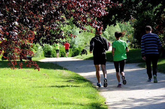 Ramboli&rsquo;Trail : Quand la sueur rencontre l&rsquo;histoire