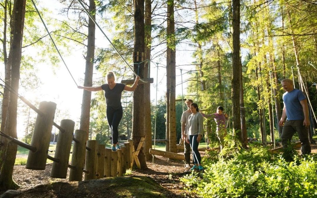 Top Spots d&rsquo;Accrobranche en Île-de-France: Aventure et Adrénaline