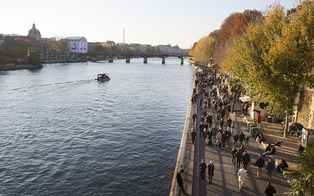 Retrouvailles avec la Seine : Plongée dans le Temps et l&rsquo;Eau Froide