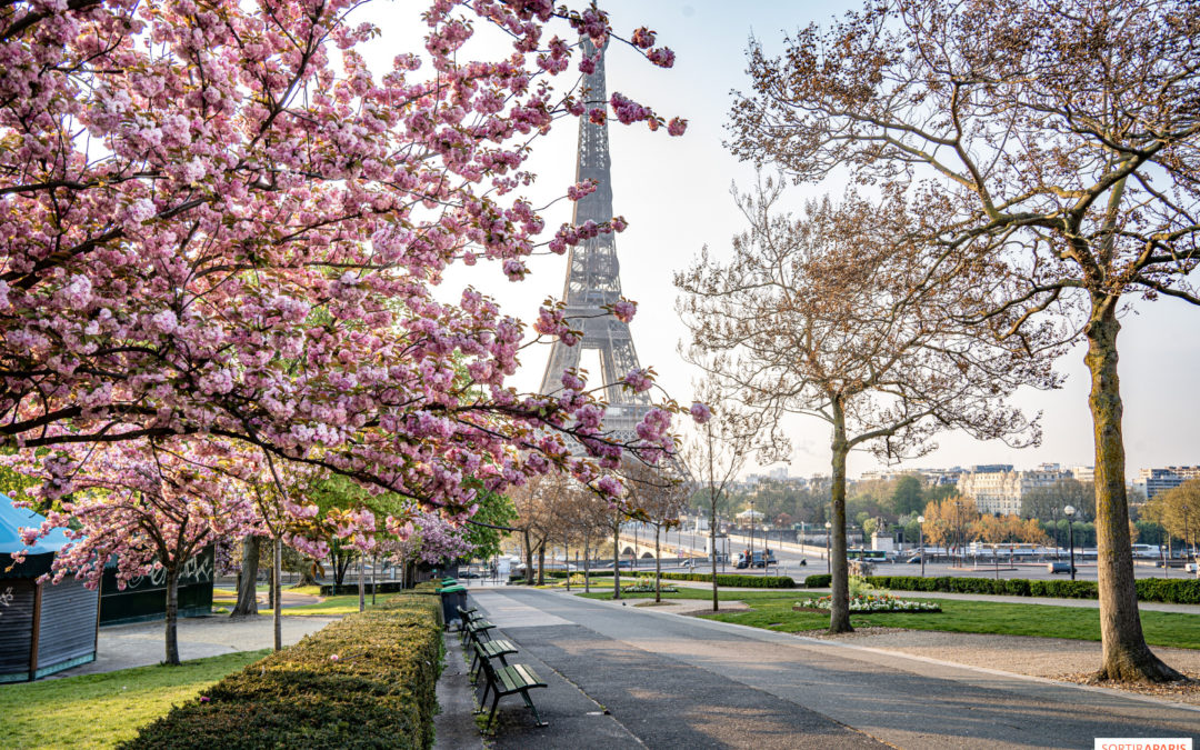 Vacances de Pâques 2024 à Paris: Activités Incontournables pour Ados
