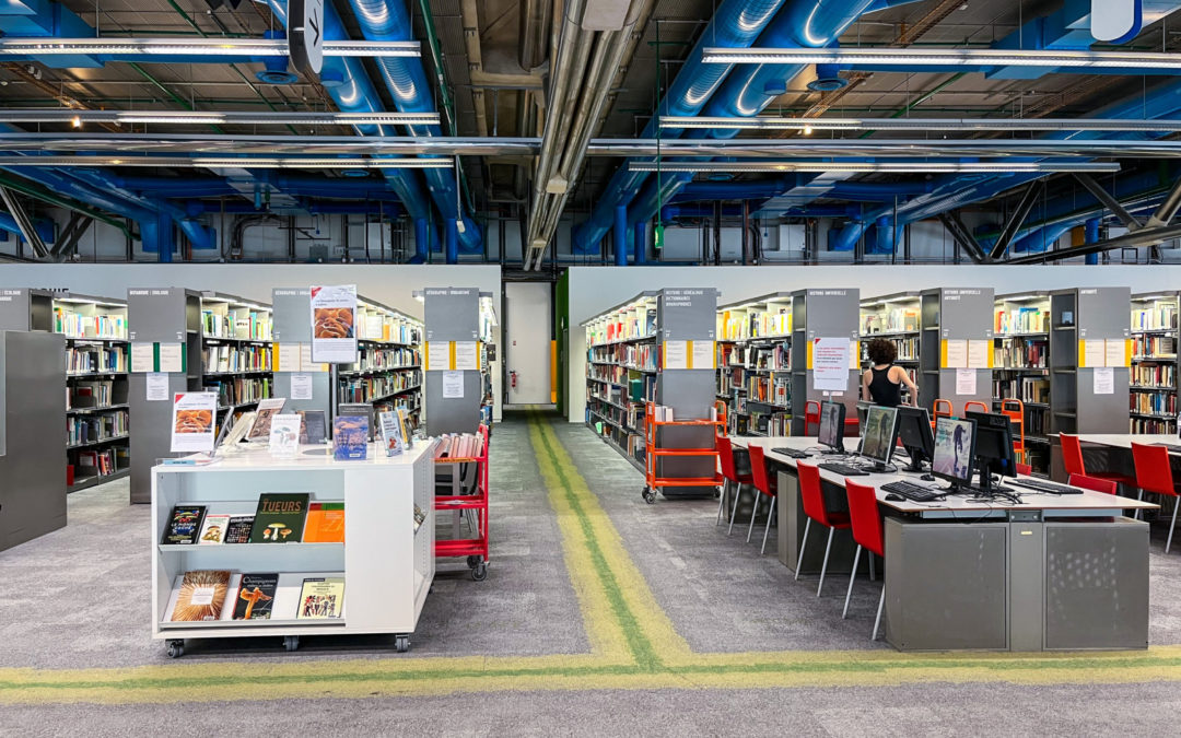 La grande évasion : Télétravailler à Paris sans perdre son âme (ni son portefeuille)