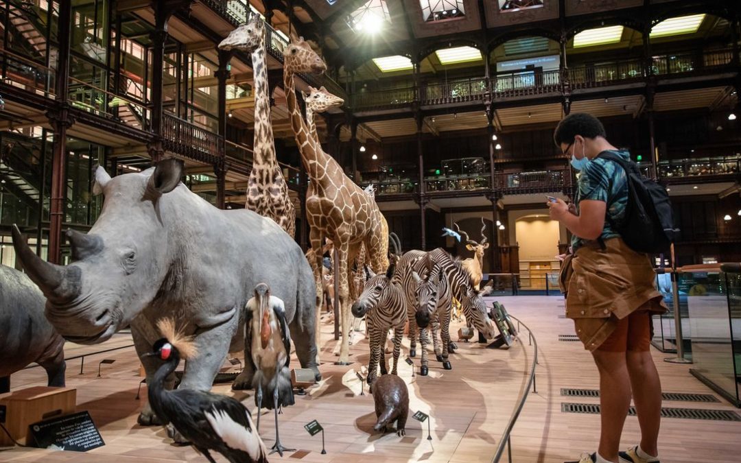 Explorez le Muséum National d&rsquo;Histoire Naturelle de Paris