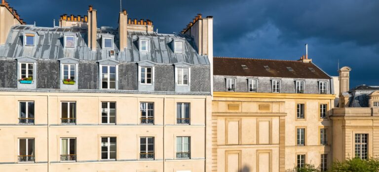 Paris : La Ruée Vers l&rsquo;Or Gris de l&rsquo;Immobilier