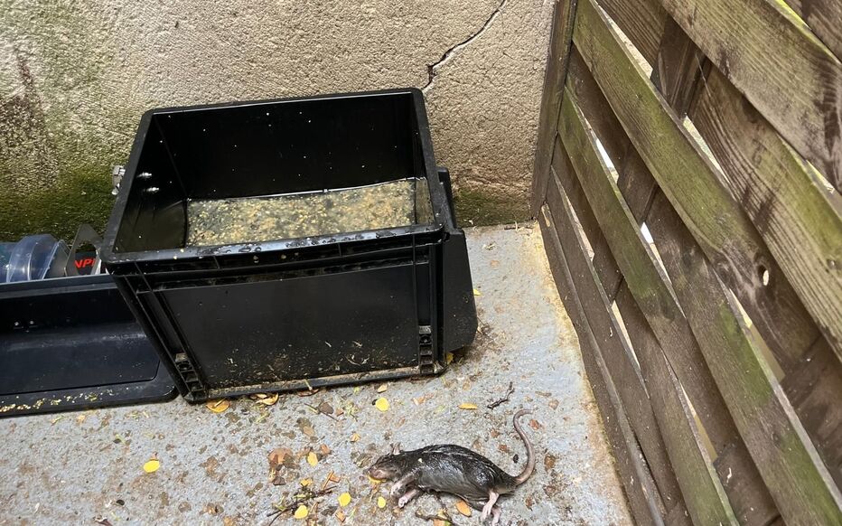Paris chasse les rats : Le XVIIe sort l&rsquo;artillerie high-tech