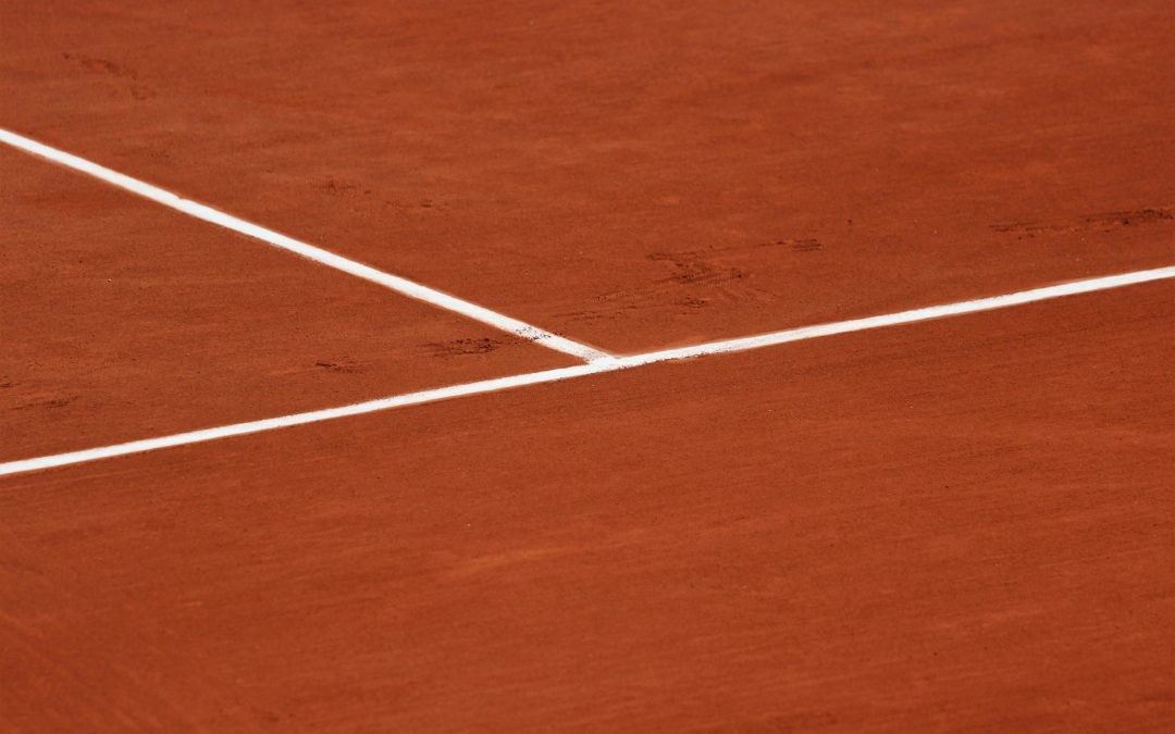 Roland-Garros : David Goffin dénonce l’irrespect du public français
