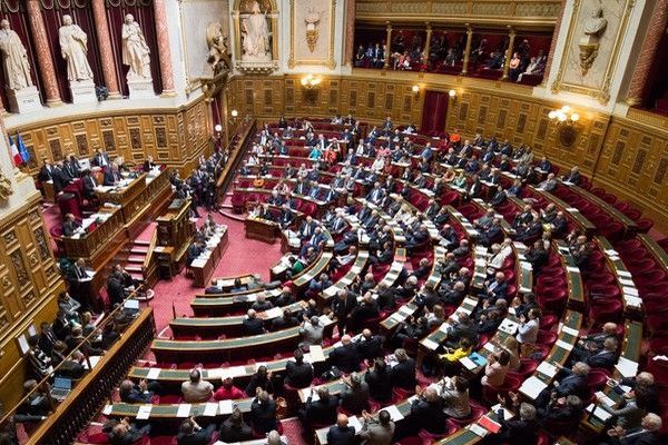 Le Sénat et la transidentité des mineurs : une proposition de loi qui fait débat