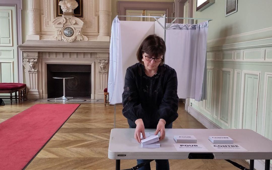 Comment survivre aux élections européennes sans s&rsquo;arracher les cheveux : Guide pratique pour les Parisiens