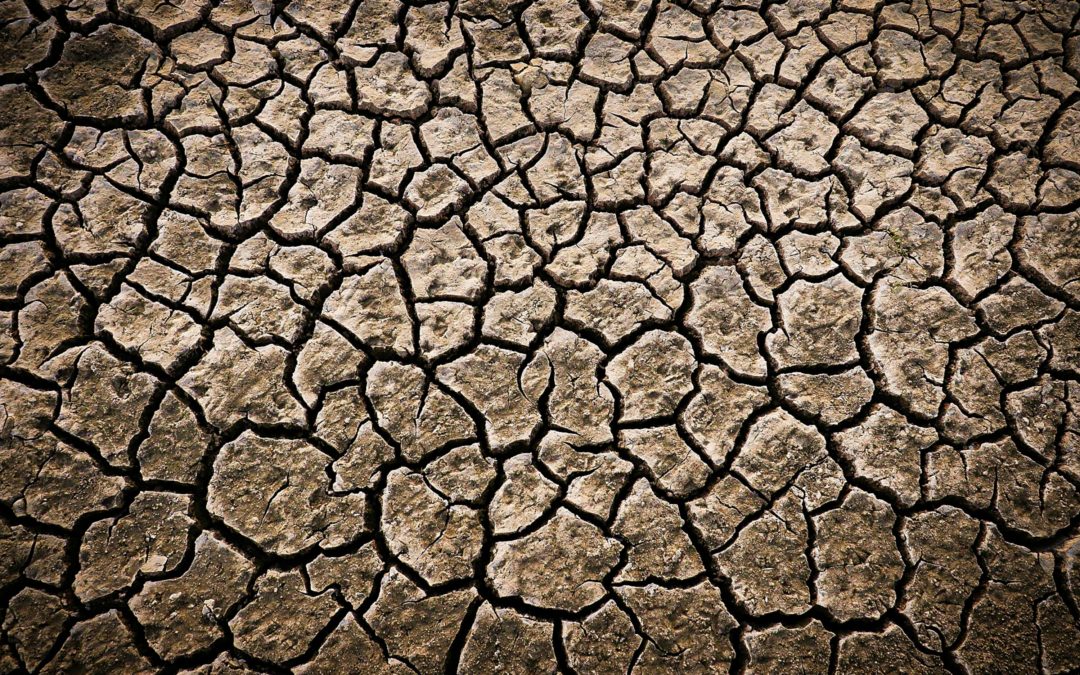 Survivre au boulot en période de canicule