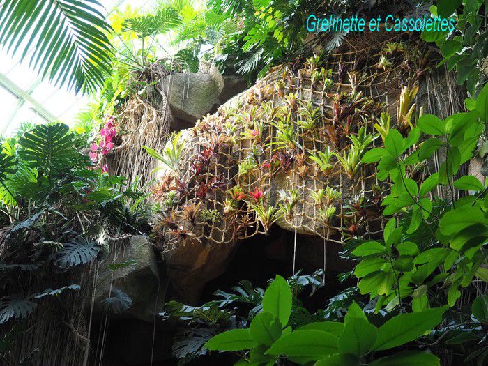 Quand la nature se fait œuvre d’art au Jardin des Plantes