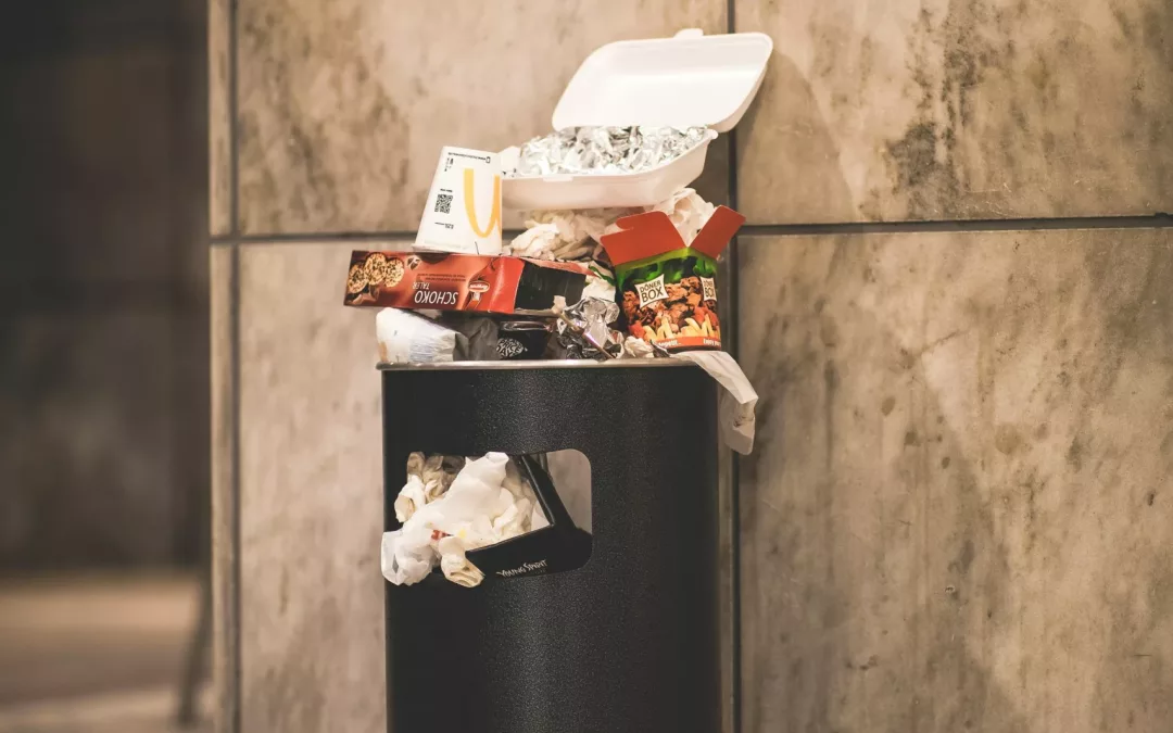 Paris, la ville qui craque : quand la propreté se fait la malle