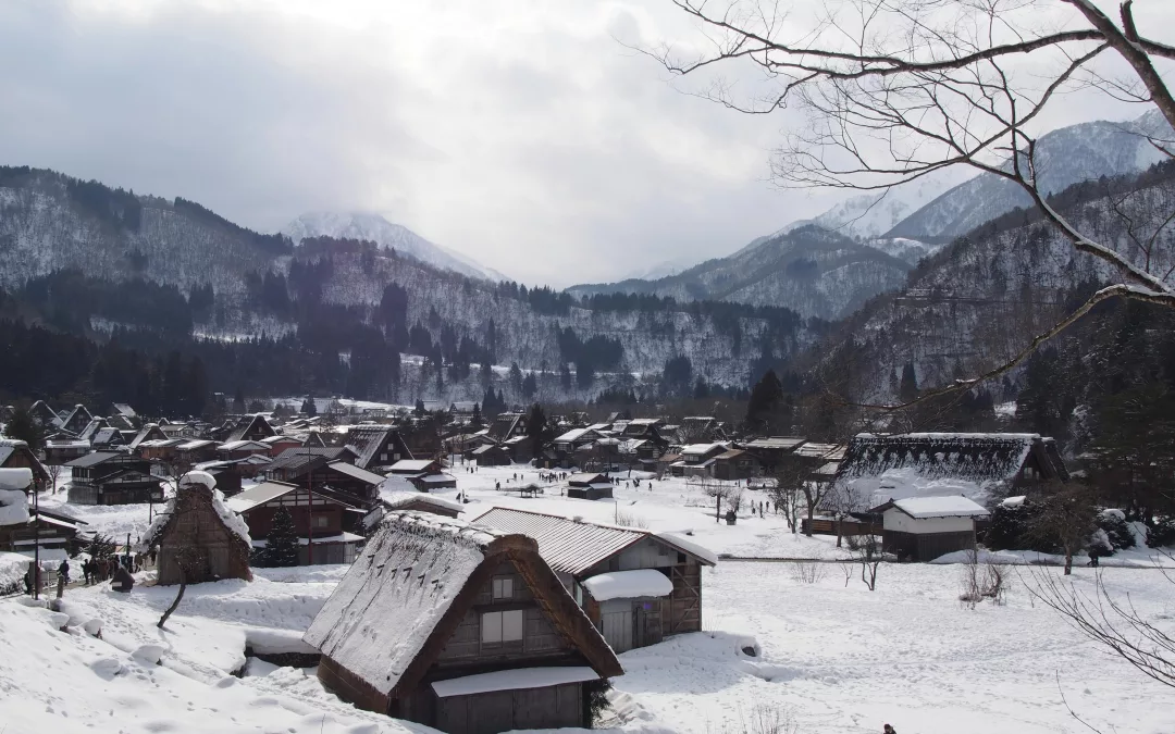 La résilience du corbeau : l’Aïnoussance s’invite sur le quai Jacques Chirac