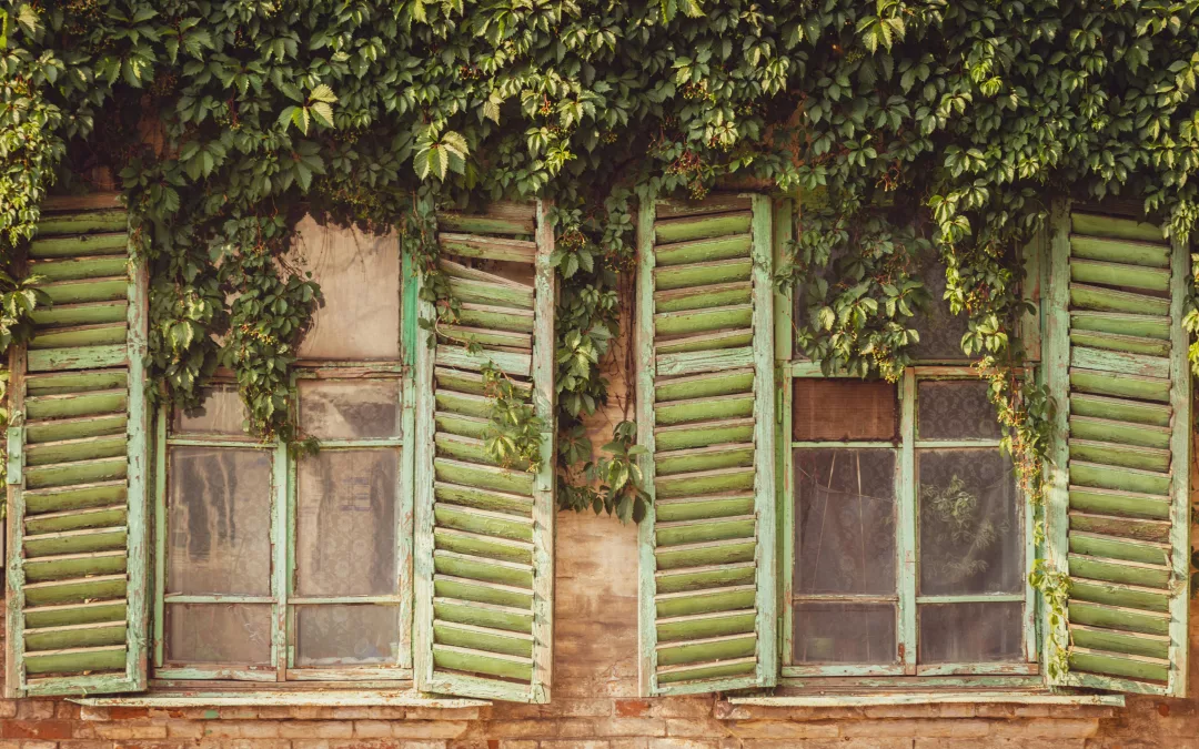 Paris s&rsquo;arme de volets contre la fournaise urbaine imminente