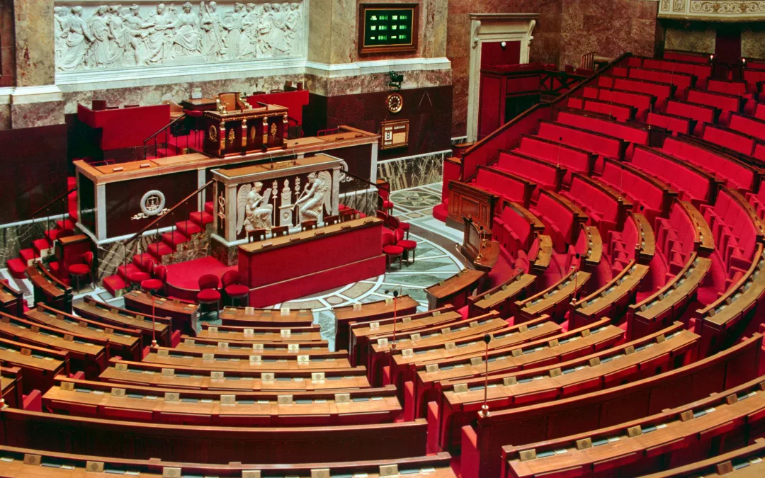 Élections législatives 2024 : Paris au cœur d’un scrutin historique